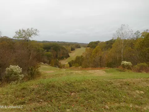 Smith Road, Satartia, MS 39162 photo 17
