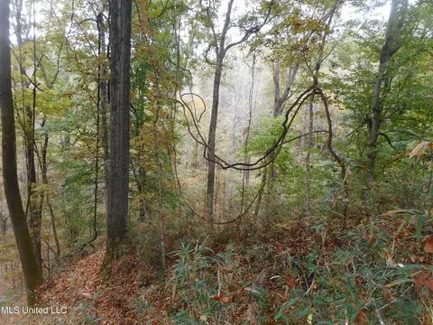 Smith Road, Satartia, MS 39162 photo 6
