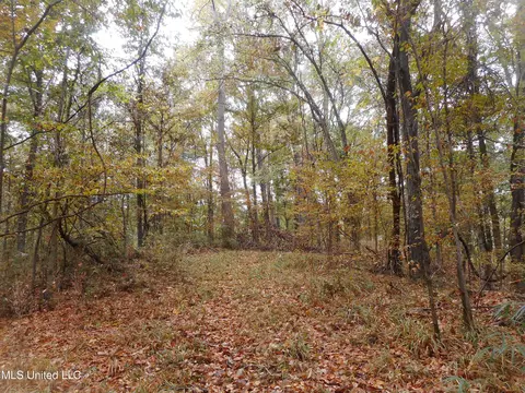 Smith Road, Satartia, MS 39162 photo 13