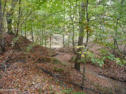 Smith Road, Satartia, MS 39162 photo 7