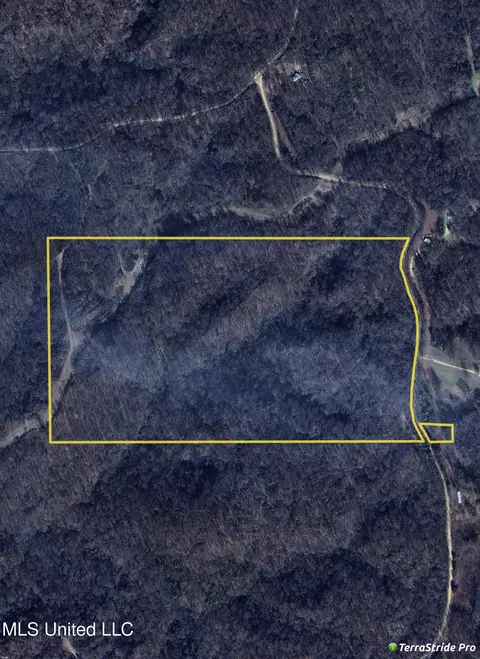 Smith Road, Satartia, MS 39162 photo 2