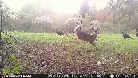 Smith Road, Satartia, MS 39162 photo 12
