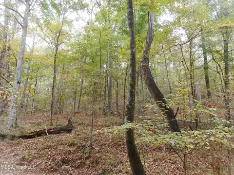 Smith Road, Satartia, MS 39162 photo 14
