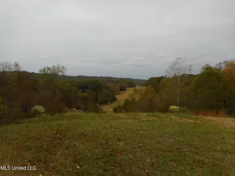 Smith Road, Satartia, MS 39162 photo 18
