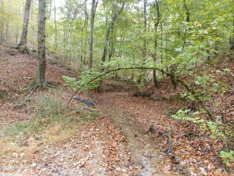 Smith Road, Satartia, MS 39162 photo 15
