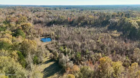 5646 Us-80, Pelahatchie, MS 39145