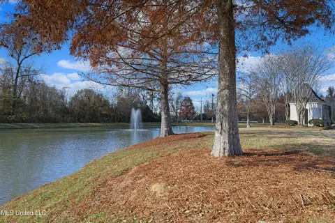 104 Windward Ct, Canton, MS 39046 photo 56