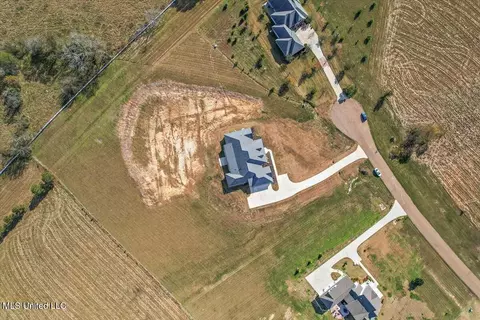 View/Area - 104 Sagamore Cv, Flora, MS 39071 photo 3 of 3