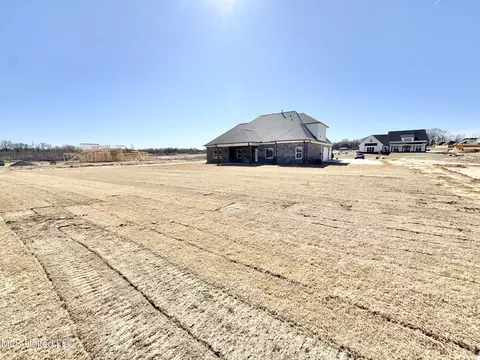 Exterior - 1772 Bakersfield Way, Nesbit, MS 38651 photo 5 of 5