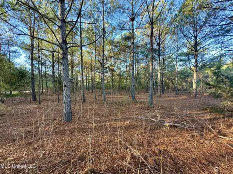 Quitman Street, Sledge, MS 38670 photo 5