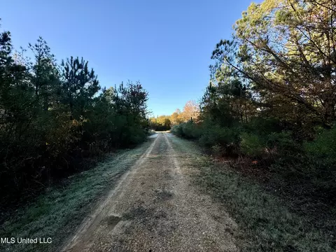 Quitman Street, Sledge, MS 38670 photo 6