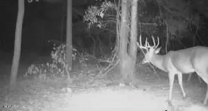 Quitman Street, Sledge, MS 38670 photo 12
