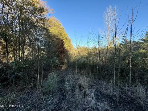 Quitman Street, Sledge, MS 38670 photo 7