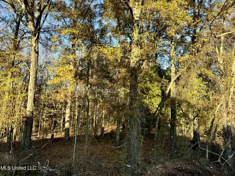 Quitman Street, Sledge, MS 38670 photo 2