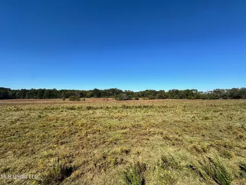 lot Apt 1 Robinson Warren Meadows Rd, Canton, MS 39046