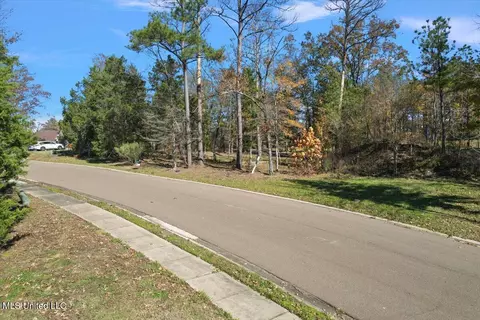 24 Wind Dance Drive, Madison, MS 39110 photo 2