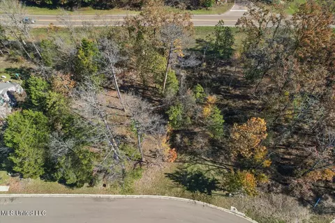 24 Wind Dance Drive, Madison, MS 39110 photo 3