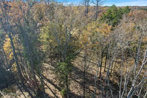 24 Wind Dance Drive, Madison, MS 39110 photo 5