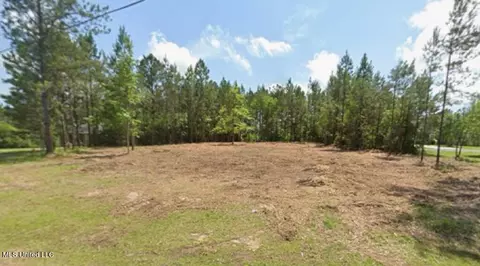 13 Tobee Rd, Saucier, MS 39574 photo 3