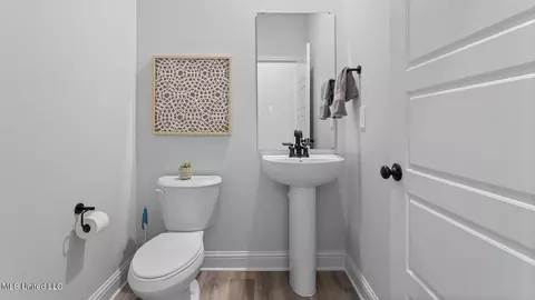 Entry Way - 13573 Sarus Dr, Vancleave, MS 39565 photo 10 of 11