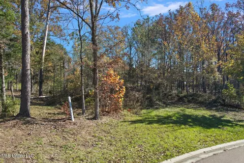 25 Wind Dance Drive, Madison, MS 39110 photo 5