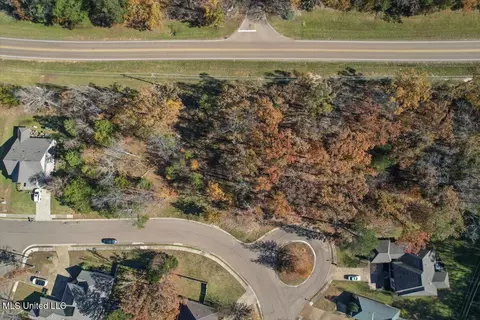 25 Wind Dance Drive, Madison, MS 39110 photo 8