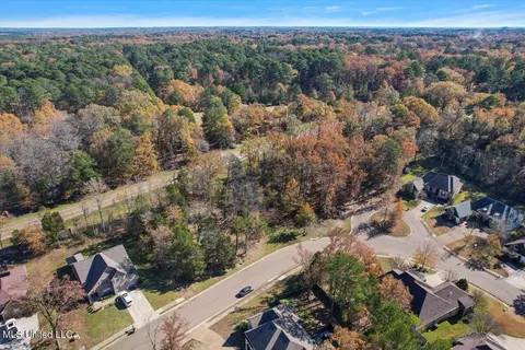 25 Wind Dance Drive, Madison, MS 39110 photo 9