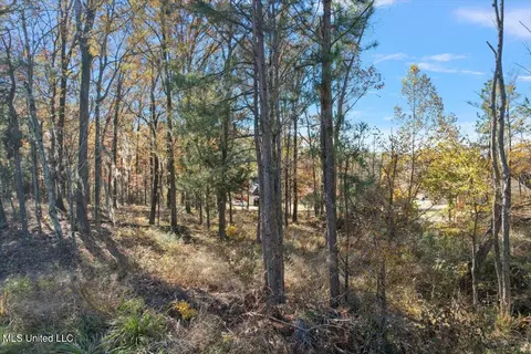 25 Wind Dance Drive, Madison, MS 39110 photo 2