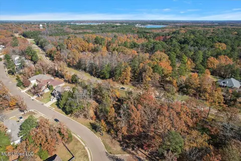 25 Wind Dance Drive, Madison, MS 39110 photo 10