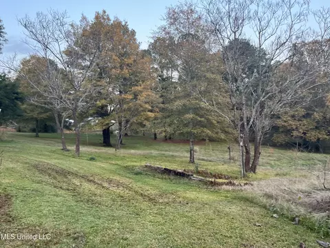 Exterior - 428 Williams Rd, Florence, MS 39073 photo 6 of 9