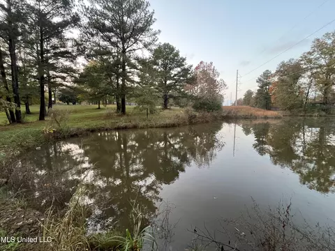 View/Area - 428 Williams Rd, Florence, MS 39073 photo 1 of 4