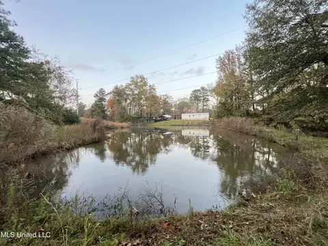 View/Area - 428 Williams Rd, Florence, MS 39073 photo 2 of 4