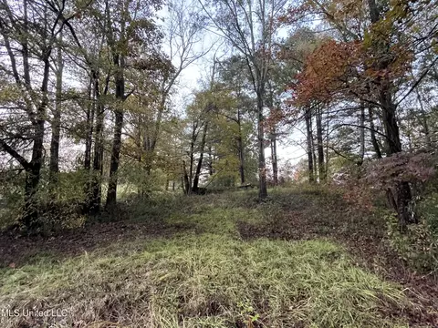 Other - 428 Williams Rd, Florence, MS 39073 photo 5 of 7