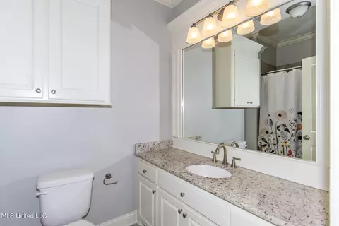 Bath - 123 Brisco St, Madison, MS 39110 photo 6 of 6