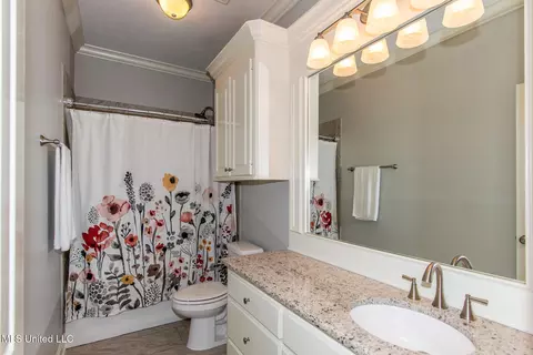 Bath - 123 Brisco St, Madison, MS 39110 photo 4 of 6