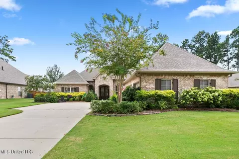 Exterior - 123 Brisco St, Madison, MS 39110 photo 4 of 11