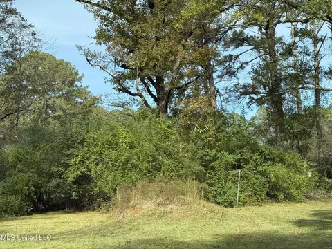 Exterior - 124 S Sunset Ter, Jackson, MS 39212 photo 3 of 4