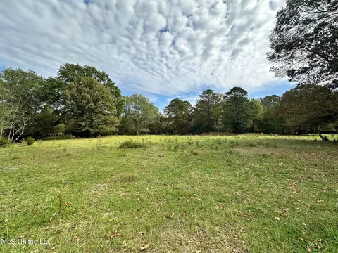 3 Ratliff Ferry Rd, Canton, MS 39046 photo 4