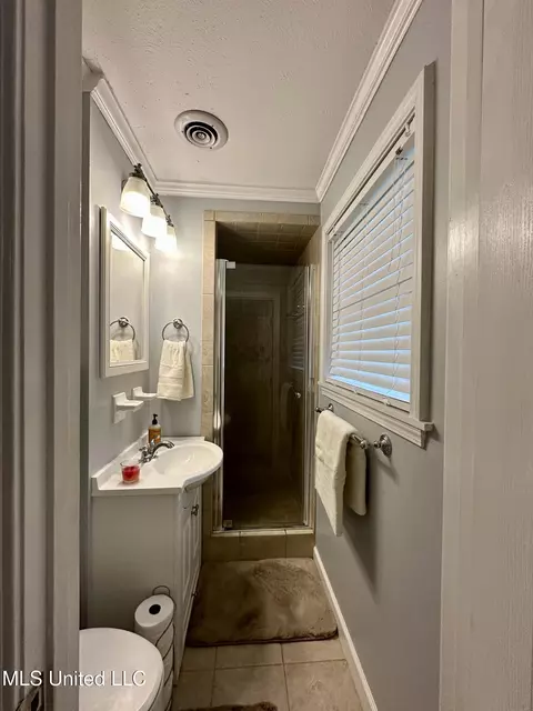 Bath - 910 Cedar Hill Dr, Clinton, MS 39056 photo 3 of 3
