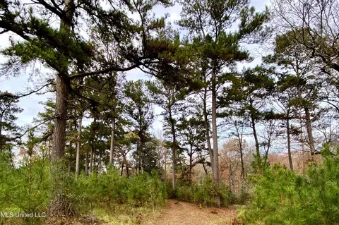 00 Albert Prince Rd, Carriere, MS 39426