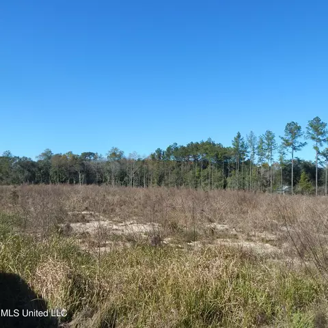 Blackberry Lane, Lucedale, MS 39452