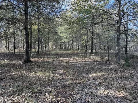 1 Bland Rd, Lambert, MS 38643 photo 3