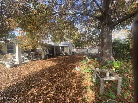 244 Ina Dr, Madison, MS 39110 photo 4