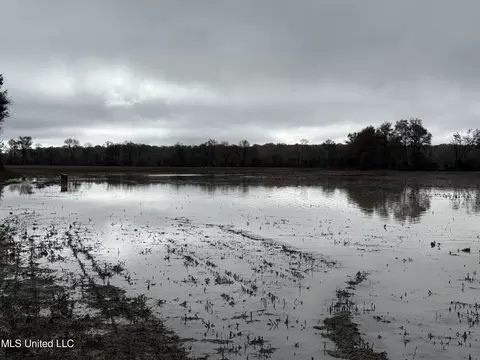 1 Denton Rd, Lambert, MS 38643 photo 3