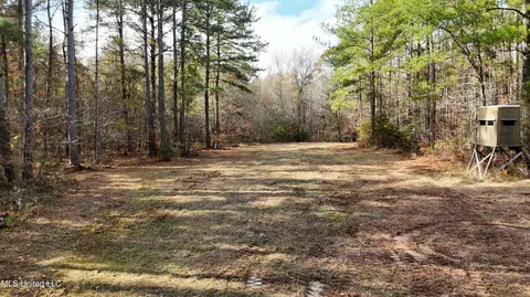 0 Greenhill Rd, Florence, MS 39073 photo 8