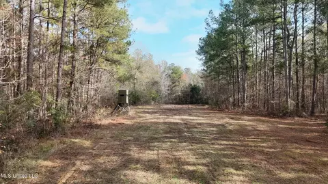 0 Greenhill Rd, Florence, MS 39073 photo 13