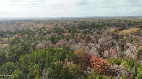 0 Greenhill Rd, Florence, MS 39073 photo 19