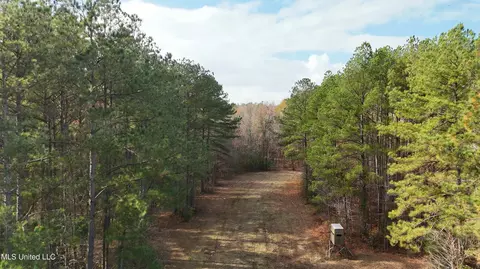 0 Greenhill Rd, Florence, MS 39073 photo 21