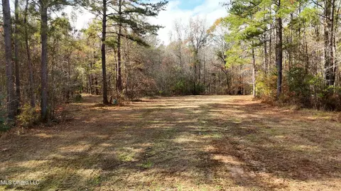 0 Greenhill Rd, Florence, MS 39073 photo 7