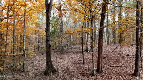 0 Greenhill Rd, Florence, MS 39073